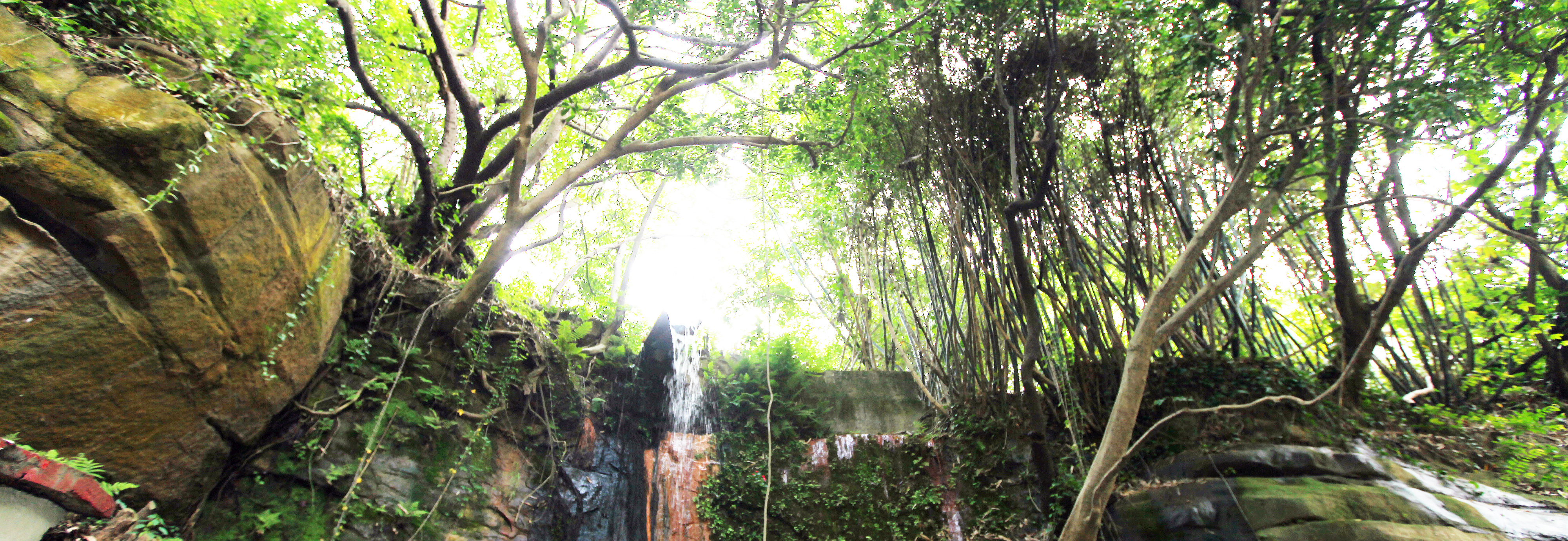 文化資產學院橫幅